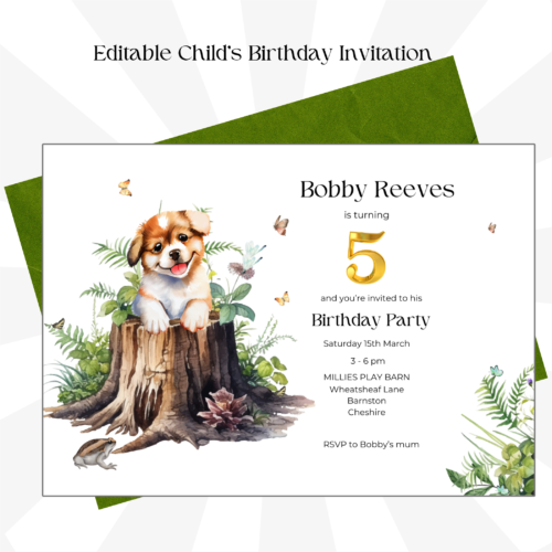 Editable Child's Birthday Invitation